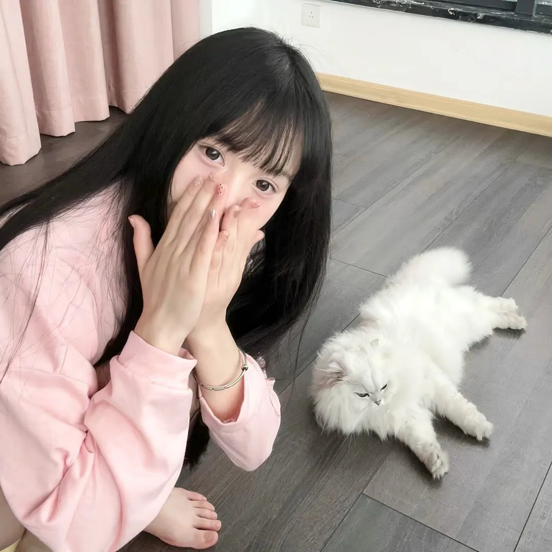杰拉德历险记